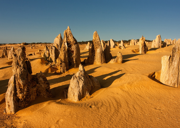 désert des pinnacles au coucher du soleil