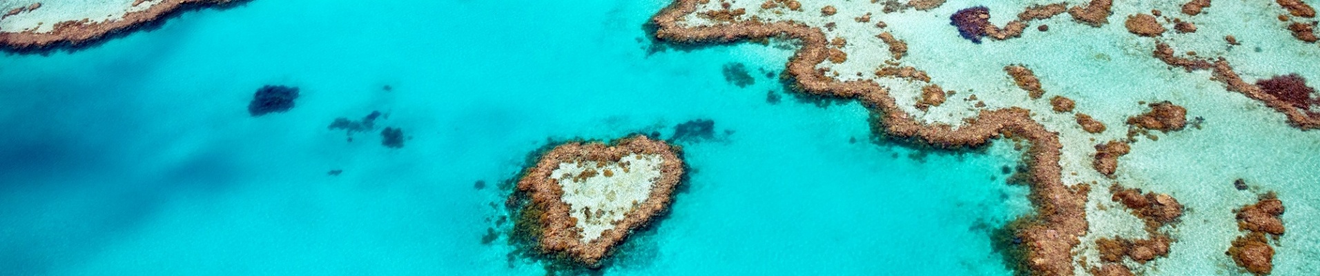 Vue aérienne sur la grande barrière de corail