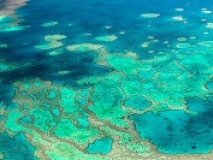 Grande barrière de corail vue aérienne