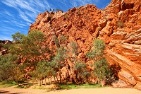 MacDonnell Ranges