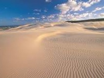 Dunes de Fraser island