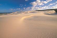 Dunes de Fraser island