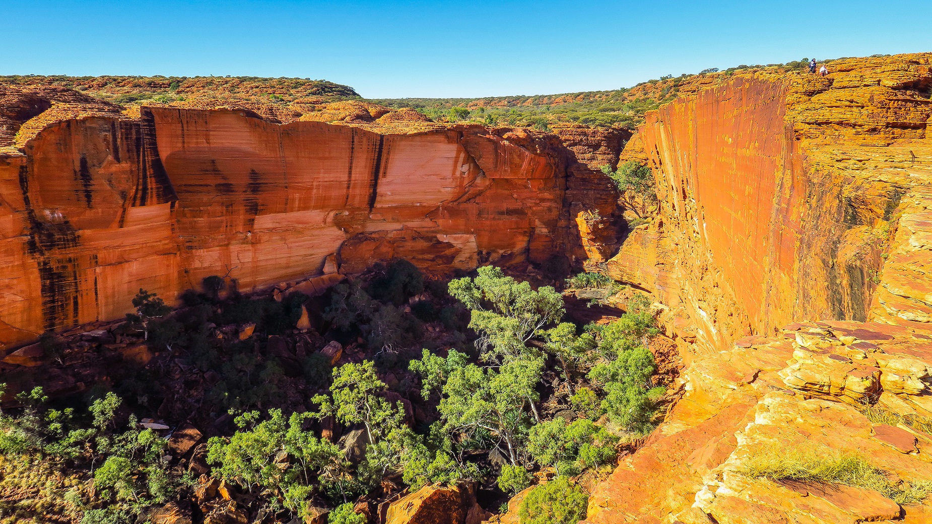 Kings Canyon Australie