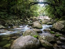 Rivière de la Mossman Gorge Australie