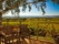 Chaises au cœur des vignobles de la yarra valley