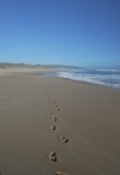 Pas dans le sable Australie