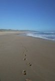 Pas dans le sable Australie