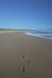 Pas dans le sable Australie