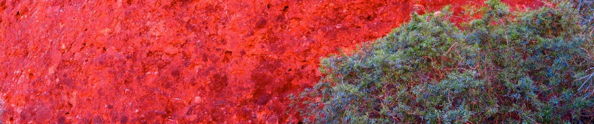 Murs rouges et feuillages verts de l'outback