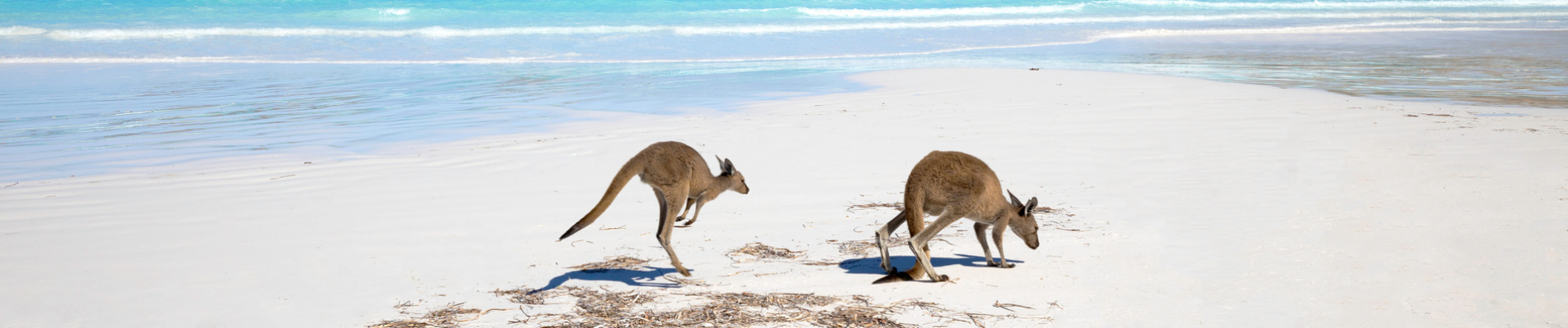 australie-abecedaire