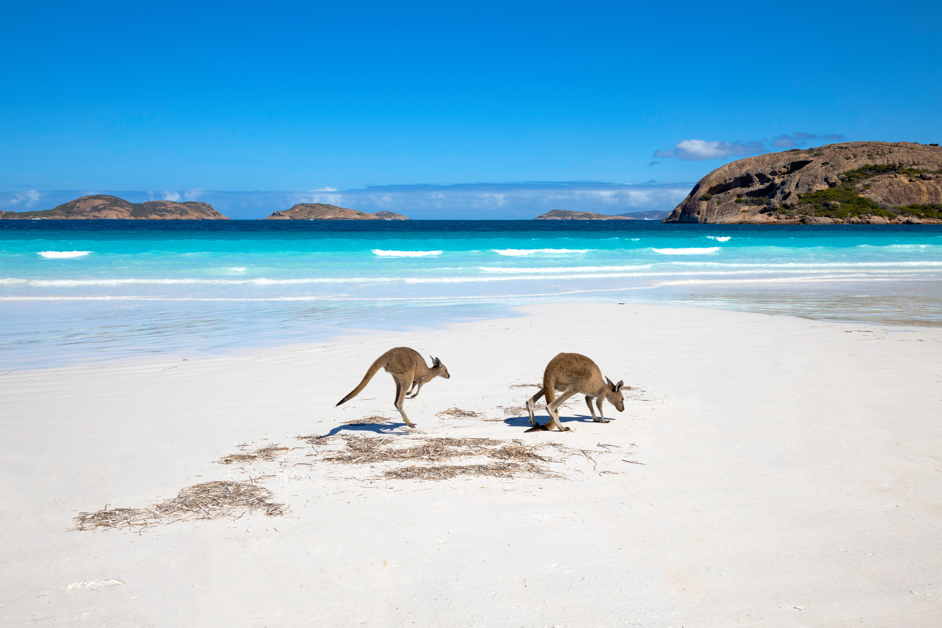 australie-abecedaire