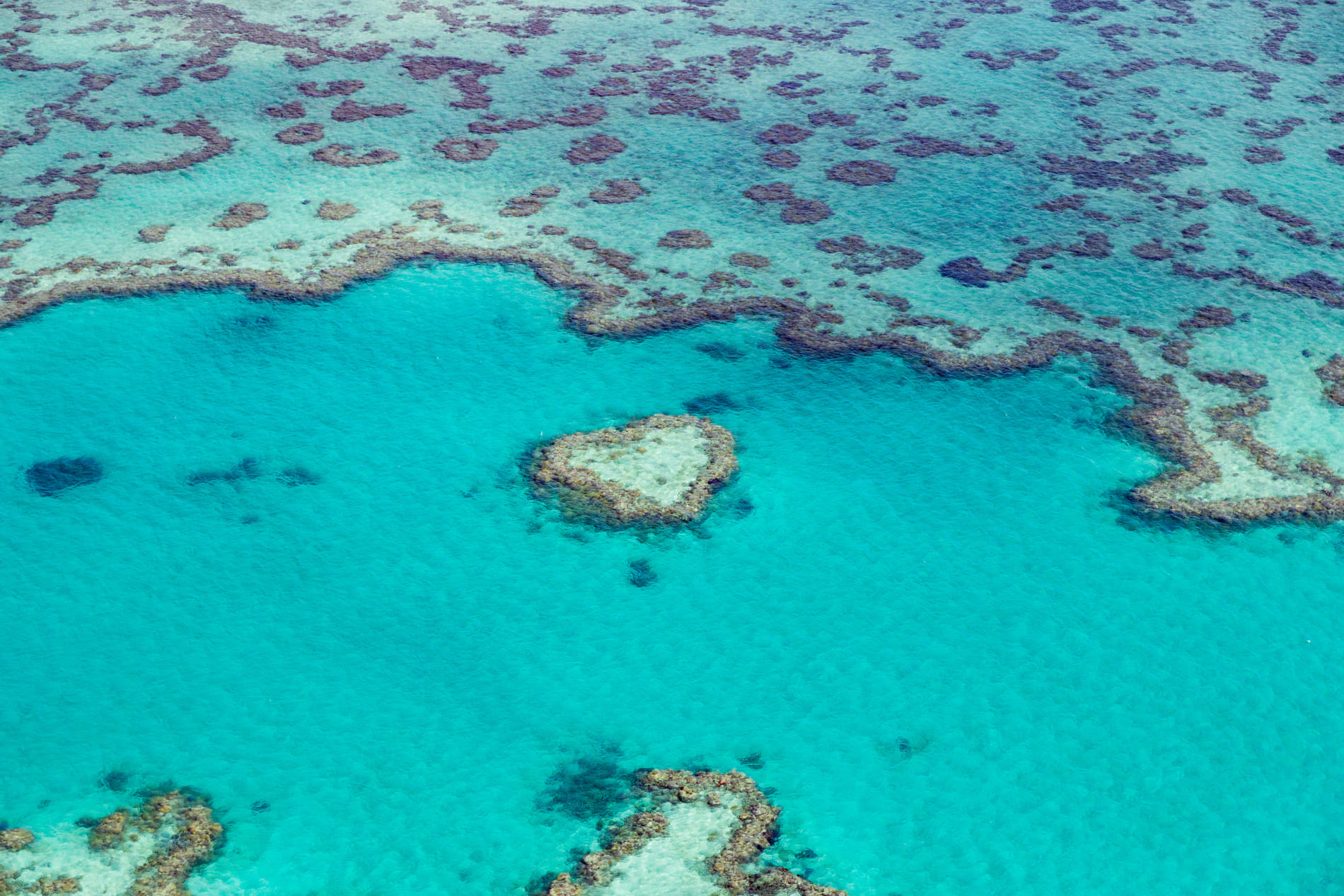 grande-barriere-corail-australie